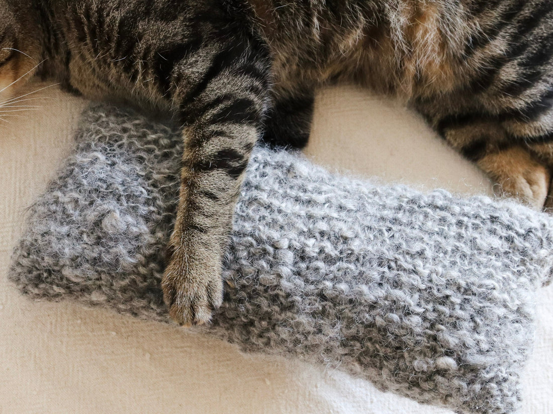 紡いだ糸で、猫への贈りもの